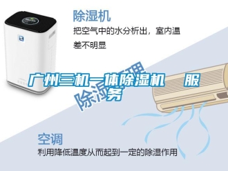 行業(yè)新聞廣州三機一體除濕機  服務(wù)