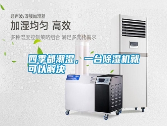 知識百科四季都潮濕，一臺除濕機就可以解決