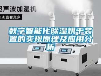 行業(yè)新聞數(shù)字智能化除濕烘干裝置的實現(xiàn)原理及應用分析