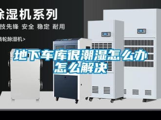 企業(yè)新聞地下車(chē)庫(kù)很潮濕怎么辦怎么解決