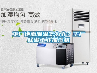 企業新聞工廠地面潮濕怎么辦？工廠除潮工業抽濕機