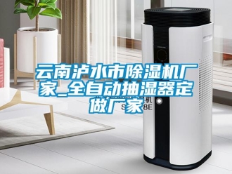 企業(yè)新聞云南瀘水市除濕機廠家_全自動抽濕器定做廠家