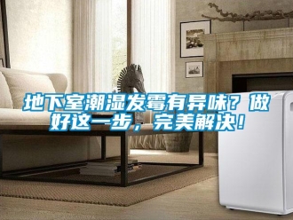 企業新聞地下室潮濕發霉有異味？做好這一步，完美解決！