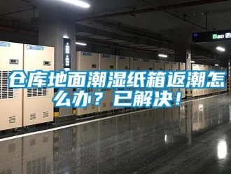 企業新聞倉庫地面潮濕紙箱返潮怎么辦？已解決！