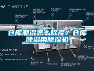 企業新聞倉庫潮濕怎么除濕？倉庫除濕用除濕機