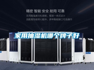 企業新聞家用抽濕機哪個牌子好