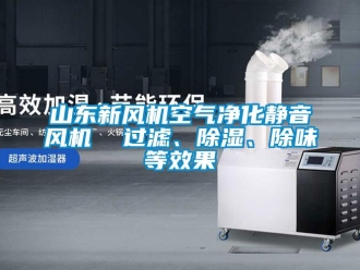 常見問題山東新風(fēng)機空氣凈化靜音風(fēng)機  過濾、除濕、除味等效果