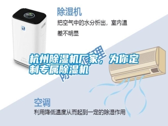 知識百科杭州除濕機廠家，為你定制專屬除濕機