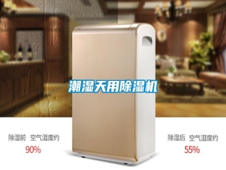 知識百科潮濕天用除濕機