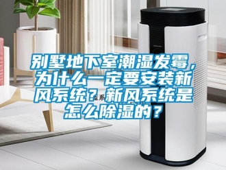 企業新聞別墅地下室潮濕發霉，為什么一定要安裝新風系統？新風系統是怎么除濕的？