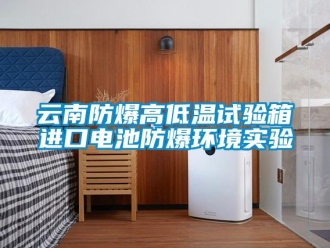 企業(yè)新聞云南防爆高低溫試驗箱進口電池防爆環(huán)境實驗