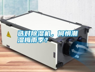 常見問題選對(duì)除濕機(jī)，何懼潮濕梅雨季？