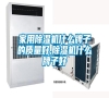 家用除濕機(jī)什么牌子的質(zhì)量好,除濕機(jī)什么牌子好 家用除濕機(jī)什么牌子的質(zhì)量好,除濕機(jī)什么牌子好