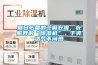 夏日必備的苧麻衣裙，衣服界的“除濕機”，干爽透氣不悶熱