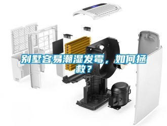 企業(yè)新聞別墅容易潮濕發(fā)霉，如何拯救？
