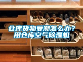 企業(yè)新聞倉(cāng)庫(kù)貨物受潮怎么辦？用倉(cāng)庫(kù)空氣除濕機(jī)
