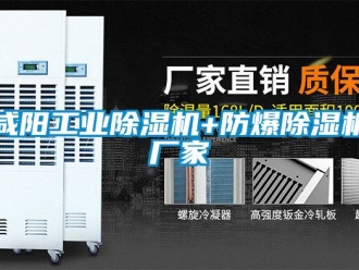 企業(yè)新聞咸陽(yáng)工業(yè)除濕機(jī)+防爆除濕機(jī)廠(chǎng)家