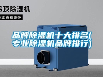 企業(yè)新聞品牌除濕機(jī)十大排名(專(zhuān)業(yè)除濕機(jī)品牌排行)