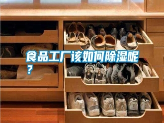 知識百科食品工廠該如何除濕呢？
