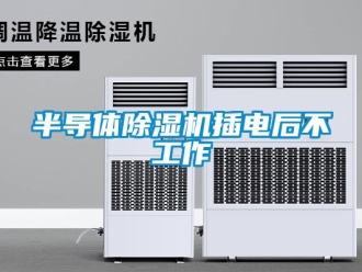 企業新聞半導體除濕機插電后不工作