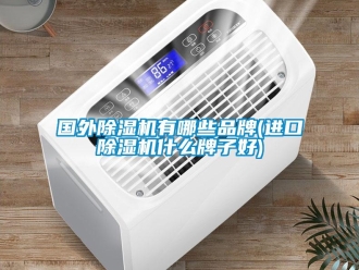 企業新聞國外除濕機有哪些品牌(進口除濕機什么牌子好)