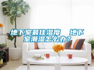 企業新聞地下室最佳濕度  地下室潮濕怎么辦？