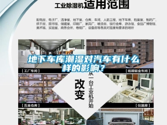 企業(yè)新聞地下車(chē)庫(kù)潮濕對(duì)汽車(chē)有什么樣的影響？