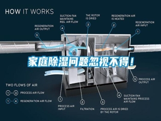 知識百科家庭除濕問題忽視不得！