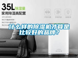企業(yè)新聞什么樣的除濕機(jī)才算是比較好的品牌？
