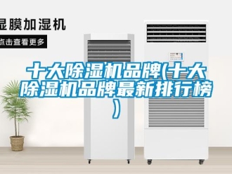 企業(yè)新聞十大除濕機品牌(十大除濕機品牌最新排行榜)