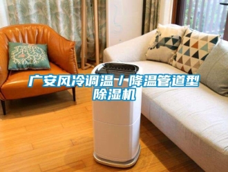 行業(yè)新聞廣安風(fēng)冷調(diào)溫／降溫管道型除濕機