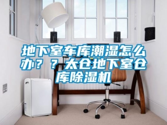 企業(yè)新聞地下室車庫(kù)潮濕怎么辦？？太倉(cāng)地下室倉(cāng)庫(kù)除濕機(jī)