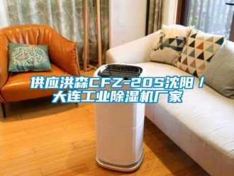 企業(yè)新聞供應洪森CFZ-20S沈陽／大連工業(yè)除濕機廠家