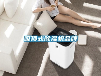 企業(yè)新聞吸頂式除濕機(jī)品牌