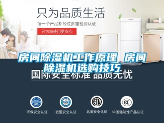 行業(yè)新聞房間除濕機(jī)工作原理 房間除濕機(jī)選購(gòu)技巧