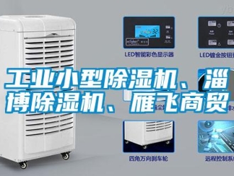 常見問題工業(yè)小型除濕機(jī)、淄博除濕機(jī)、雁飛商貿(mào)