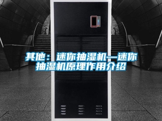 企業新聞其他：迷你抽濕機—迷你抽濕機原理作用介紹