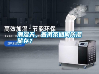 知識百科潮濕天，普洱茶如何防潮儲存？