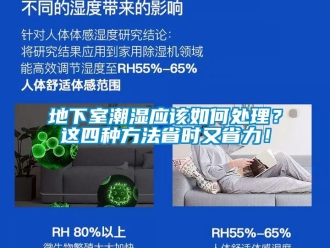 企業新聞地下室潮濕應該如何處理？這四種方法省時又省力！