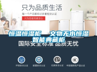 知識(shí)百科恒溫恒濕柜  文物無水恒濕智能典藏柜