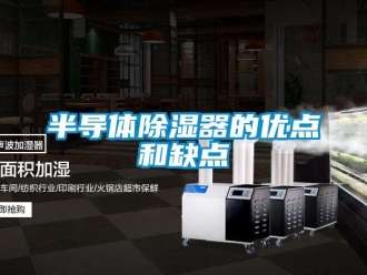 企業新聞半導體除濕器的優點和缺點