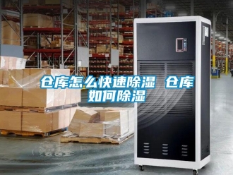 企業新聞倉庫怎么快速除濕 倉庫如何除濕
