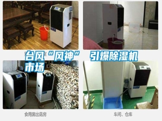常見問題臺(tái)風(fēng)“風(fēng)神” 引爆除濕機(jī)市場(chǎng)