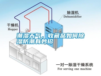 知識百科潮濕天氣，收藏品如何除濕防潮有妙招