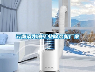 企業(yè)新聞云南漭水鎮(zhèn)工業(yè)除濕機廠家
