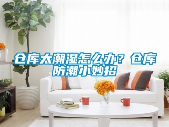 企業新聞倉庫太潮濕怎么辦？倉庫防潮小妙招