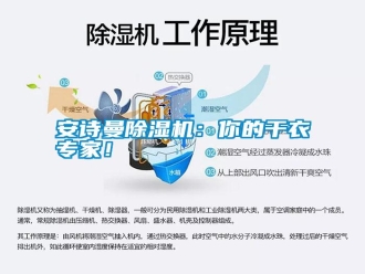 常見問題安詩曼除濕機：你的干衣專家！