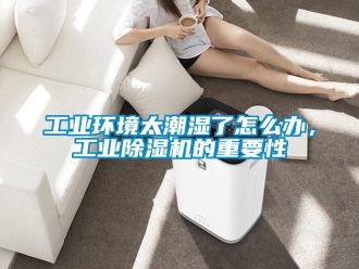 常見問題工業環境太潮濕了怎么辦，工業除濕機的重要性