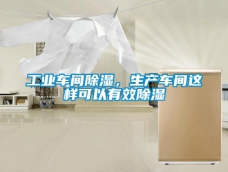 企業(yè)新聞工業(yè)車間除濕，生產車間這樣可以有效除濕