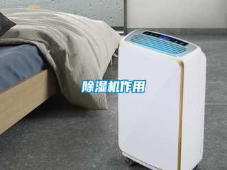 知識百科除濕機作用